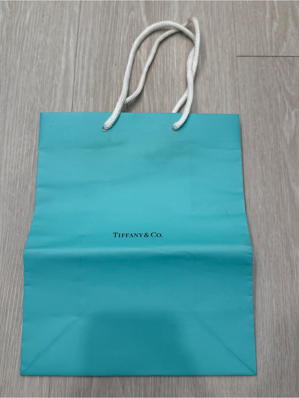 Tiffany & Co. Shopping Bag